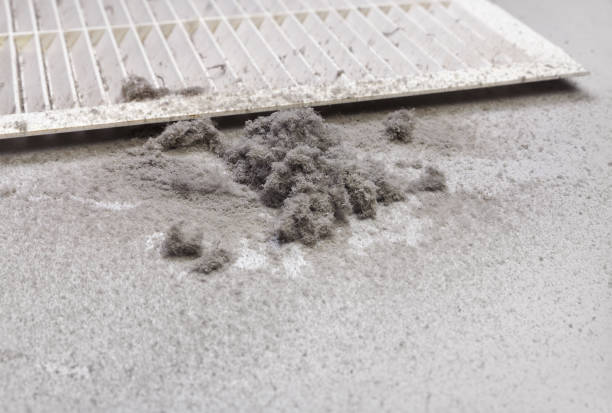 Best Air Duct Cleaning Near Me in LA