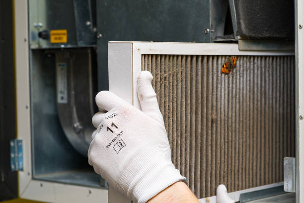 Best Dryer Vent Cleaning Services  in Crowley, LA